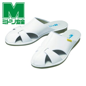 ~hS ÓdƃT_ GpXN[CgN zCg M (1) iԁFELEPASS COOL-L-W-M