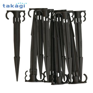 �^�J�M ���p�z���_�[ (1Pk) GKA101