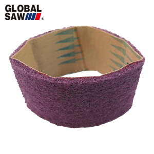 gL O[o\[ nC[[ sDzxgiʌȂǁj i5{j (1) iԁFGGW-A2000-300