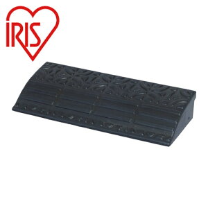 IRIS 529427 �S�����i���v���[�g �u���b�N (1��) �i�ԁFGDP-9560