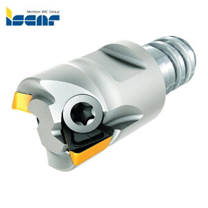 �C�X�J�� ISCAR HM390 ETP D08-2-MMT05-04 �i���~�� �}���`�}�X�^�[�˂����A�_�v�^�[ HM390 ETP-MM-04 �n��2�� �n�a8mm �V�����N�a7.6mm (1�{)
