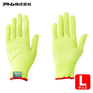 �A�g�� ATOM �P�u���[(R)SD 15G���(����) L (1�o) HG-15-L
