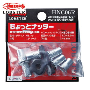 uebNX Gr nhib^[ ƃib^[iM6pj i1j (1S) iԁFHNC06R