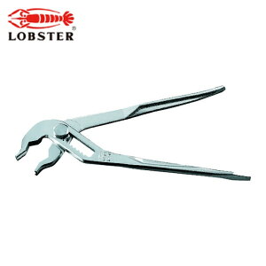 ���u�e�b�N�X �G�r �J�����v���C���[�i�o�l�t�j K250 (1��) �i�ԁFK250