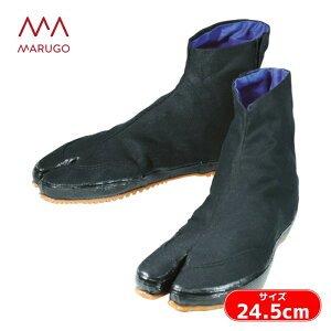 ی y _Ɨpn i5yj  24.5cm (1) iԁFKAISOKU5-BK-245