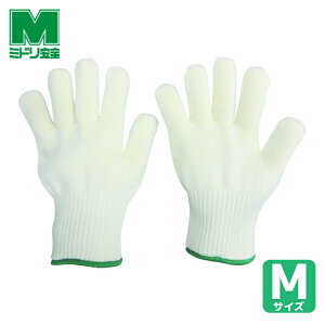 ~hS Ǝ ϔMW MTCY (1o) iԁFM-AR101-M