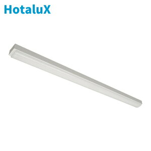 �z�^���N�X HotaluX MMDB4101/25N5-N8 �g���t�`2500lm LED��̌^�x�[�X�Ɩ� (1��)