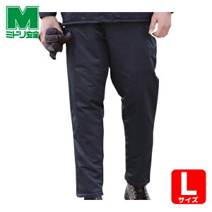 ~hS ƕ h h iCXbNX lCr[ L (1) iԁFM6507-SITA-L