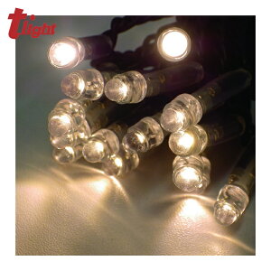 �g���C�g tlight LED�C���~�l�[�V���� �V�����p���S�[���h(�C�e�^) (1�{) NSBD1-100-100P/1