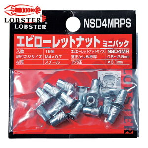 �G�r ���u�e�b�N�X NSD4MRPS ���[���b�g�i�b�g �~�j�p�b�N(�����E�X�e�B�[����) ��2.5 M4×0.7(16��) (1Pk)