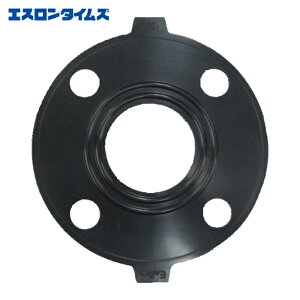 �G�X���� �ϐ����w PI25 IIR-X�p�b�L�� JIS10K 25A (1��)