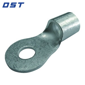 �哯�[�q���� DST �������[�q �ی`�[�q R8-A6 100���� (1��) �i�ԁFR8-A6