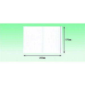 �p�s���X �f���o���[�p�b�N �|�P�b�g�^�C�v�iA5�T�C�Y�p�j175×250 100���� �S�ʌ� (1Pk) �i�ԁFPA-058T