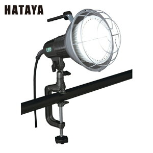 n^ LED [NCg 45W LEDƓ 100V (1) iԁFRXL-10W