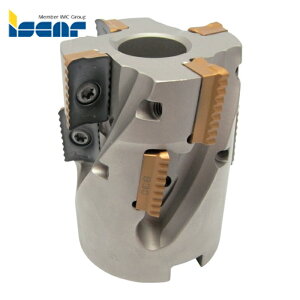 �C�X�J�� �V�����b�h�~��P290 �V�F���~�� P290 SM �n�a63mm �V�����N�a27mm (1��) �i�ԁFP290 SM D063-05-71-27-18