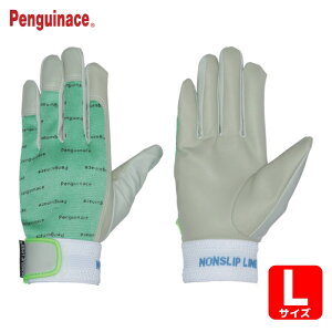 yMG[X Ǝ v mXbvGJ[ L O[ (1o) iԁFPA-1623