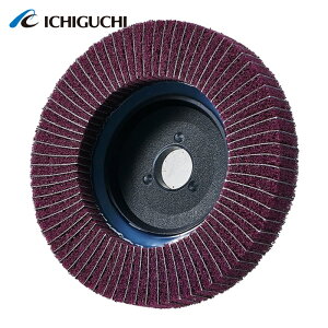�C�`�O�` SD10015-M-80 �X�R�[���C�g�f�B�X�NM (5��)