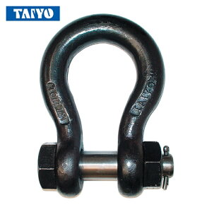 ��m����H�� TBB-12 TAIYO�V���b�N��M �� BB-12(1015414) (1��)