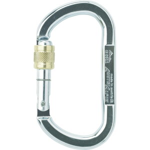 ALPIN �J���r�i OVAL ASYMM XL �X�N�����[���b�N ���a13.5 �V���o�[ (1��) TP11AK