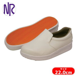 ���i�S�� �H�i�p��ƌC �ϊ��~�[�V���[�Y 22.0cm (1��) �i�ԁFV5000W-22.0