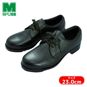 ~hS SSC ZC JISKii c v V251N 23.0cm (1) iԁFV251N-23.0