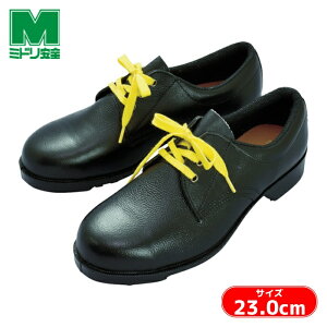 �~�h�����S �Ód���S�C V251N�Ód 23.0cm (1��) �i�ԁFV251NS-23.0