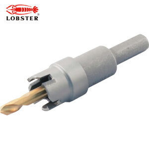 uebNX Gr dz\[ipj na21mm (1{) iԁFHO-21S