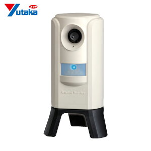 ^JCN hbpi K[foA3 (1) iԁFGDX-3