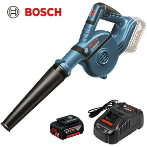 BOSCH {bV 18VR[hXuA+obe[[dZbg (1S) iԁFGBL18V-120HSET