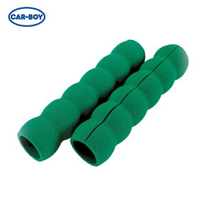 J[{[C CAR-BOY ^ԗpIvV ԗpObva28×150mm2{ O[ (1S) iԁFGG12