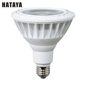 n^ LED [NCg 20WdFr[^Cv (1) iԁFLDR20L-W60