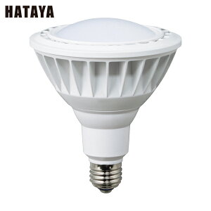 n^ LED [NCg 20WdFLp^Cv (1) iԁFLDR20L-H110