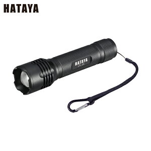 n^ LEDtbVCg (1) iԁFLFL-04