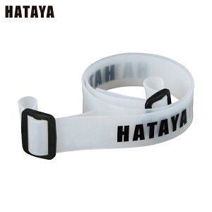 n^ wbhCgV[YpVRxg (1) iԁFLHL-B1