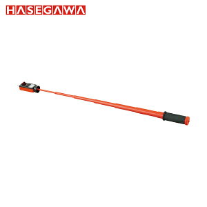 Jd@H HASEGAWA ሳ𗬗pd (1) iԁFHSS6B1