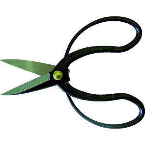 L R v (1) iԁFHT-3061