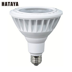 n^ LED [NCg 20WFr[^Cv (1) iԁFLDR20N-W60