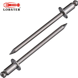 uebNX Gr uChxbgiXeX/XeXj 3-4i1000{j  (1) iԁFNST34