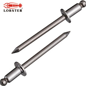 uebNX Gr uChxbgiXeX/XeXj 5-3i30{j GRpbN (1Pk) iԁFNST53MP