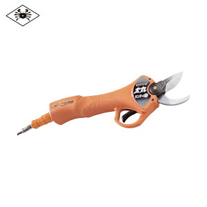 jVKLH ۃnfB[25i[dj{̂̂ (1) iԁFN929