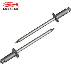 uebNX Gr uChxbgGRBOX A~/XeB[ 4-3 i300{j (1) iԁFNSA43EB