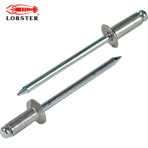 uebNX Gr uChxbgEM A~/XeB[ 5-3 i1000{j (1) iԁFNSA53K