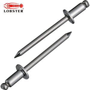 uebNX Gr uChxbgiXeX/XeXj 8-4i500{j  (1) iԁFNST84