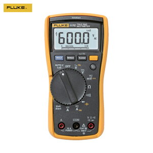 FLUKE t[N ^̎l}`[^[ (1) iԁF117