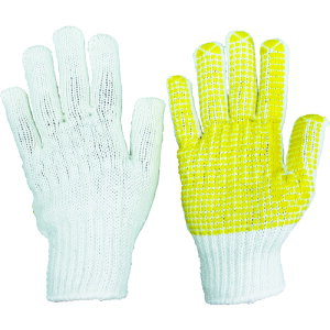 Y Ǝ ׂ~ߎ 肪 (1o) iԁF19-M