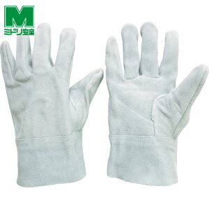 ~hS Ǝ v D 12o MT|101 (1) iԁFMT-101