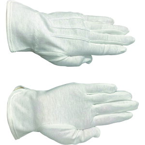 Y Ǝ R RbgZ[ L SO (1g) iԁFNO602016