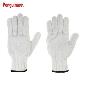 yMG[X Ǝ 8G  TH-650 12P (1Dz) iԁFPENGUIN_8G_GUNTE_TH-650