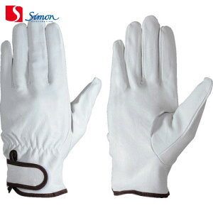 V Ǝ v ؖ{v܃}WbN PL717 L (1o) iԁFPL717 L