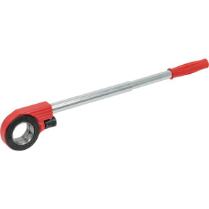 [f nhXb_Zbg3 (1S) iԁFR70881